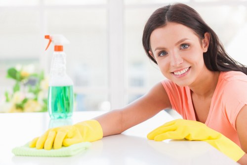 Professional mattress cleaning service for Bermondsey homes