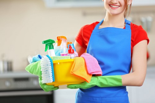 Local sofa cleaning for a flat or commercial space in Bermondsey