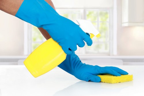Professional cleaning of a lift lobby in a Bermondsey building