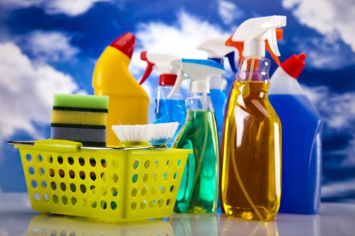 Deep carpet cleaning equipment used in a Bermondsey flat