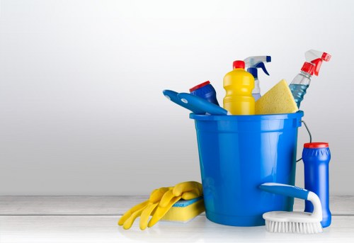 Specialist cleaning for stone, vinyl, and laminate floors