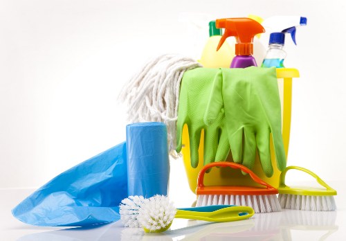 Professional pet stain and odour removal for carpet in a Bermondsey home