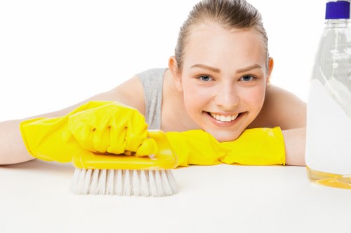 Local cleaner working in a Bermondsey apartment with access considerations