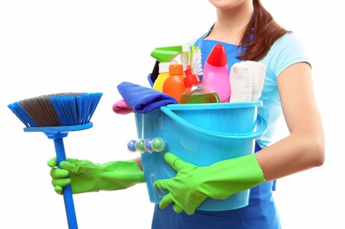 Kitchen and bathroom cleaning included in Bermondsey domestic cleaning