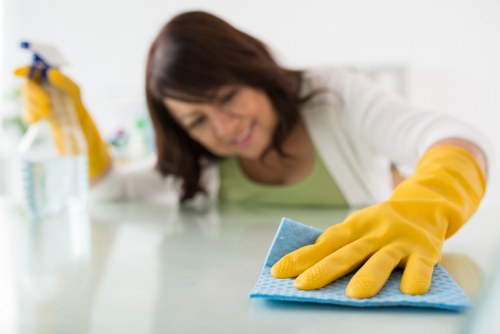 Local regular cleaning for a Bermondsey flat with modern interiors
