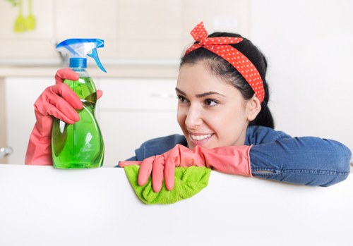 Scheduled cleaning visit in Bermondsey for a residential or business property