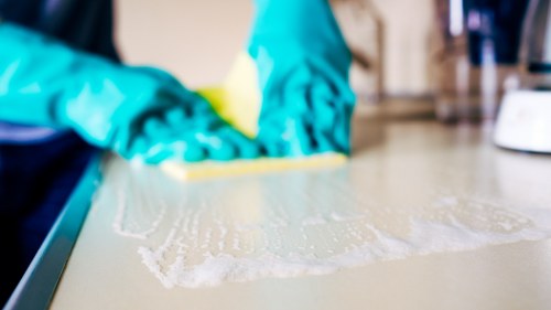 Technician treating a carpet stain in Bermondsey