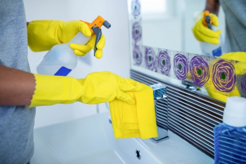 Careful window cleaning for local homes and conversions
