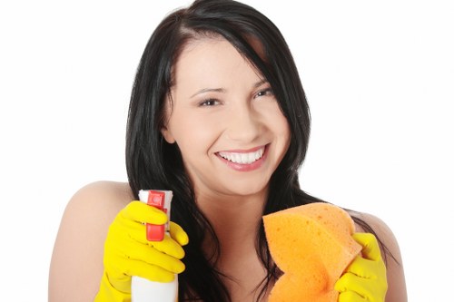 Local Bermondsey carpet cleaning service for homes and commercial properties